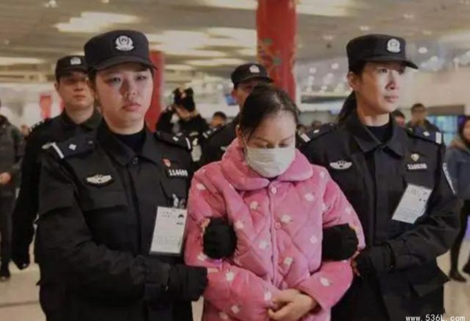 朱丽丽落网后被判多少年