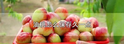 ​夏天桃子怎么保存能放时间长一点,夏天的桃子怎么保存到冬天吃