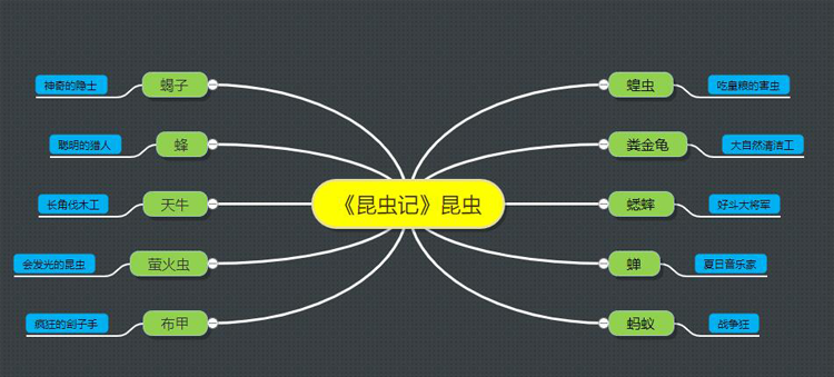 昆虫记前五篇昆虫特点概括