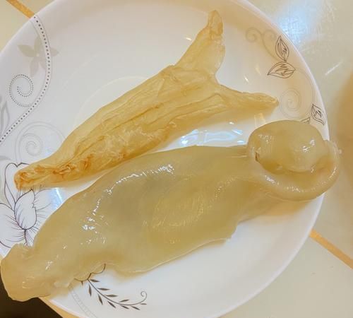 花胶需要泡发多久