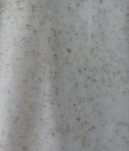 ​雨衣上大面积霉点怎么洗掉,雨衣上面的霉点怎么去除
