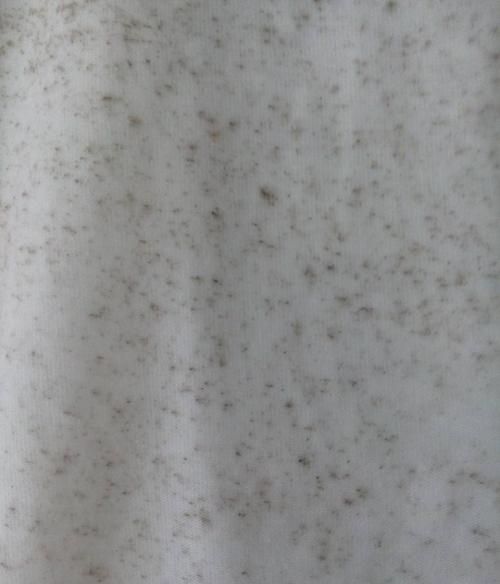雨衣上面的霉点怎么去除