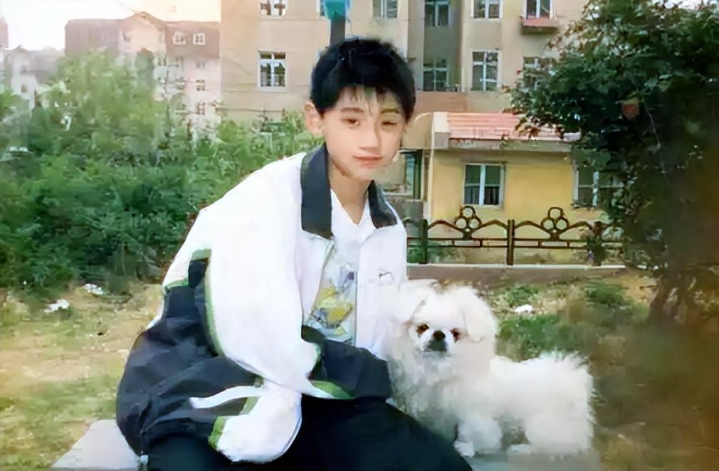 张继科个人资料简介及身高（张继科与景甜分手3年：他单身传绯闻，她承受着双重打击）