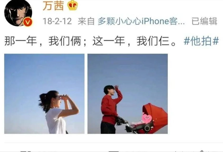 万茜个人资料简介和老公（不婚族万茜：从不炒作，嫁普通丈夫，40岁高龄为小丈夫生孩子）