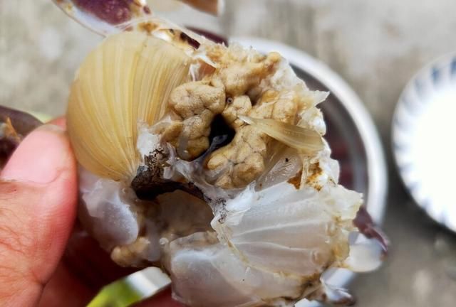 海蟹煮多久最佳时间，海蟹用清水煮需要多长时间？图3