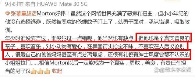 张智霖袁咏仪儿子ins道歉 4年前立场不明现在才道歉，网友吐槽“为来内娱圈钱做准备“？