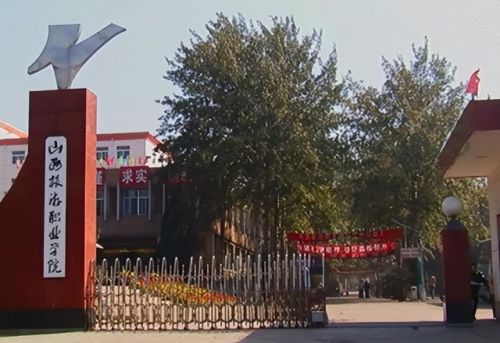 山西美术学院是几本(山西美术学院学费多少钱)-第2张图片-