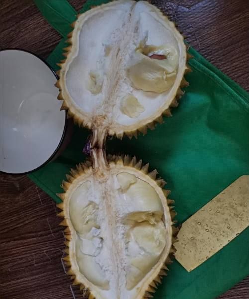 榴莲不熟怎么催熟