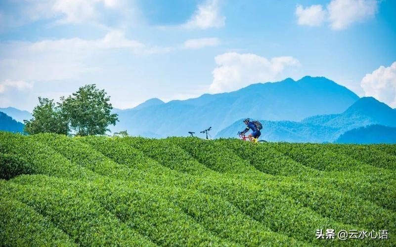 范成大简介四时田园杂兴（范成大的两首名作，构思独特，技法精湛，描绘了春天里的乡村图画）