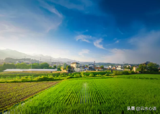 范成大简介四时田园杂兴（范成大的两首名作，构思独特，技法精湛，描绘了春天里的乡村图画）