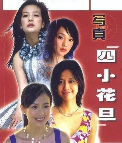 章子怡的个人资料  不甘人后的精彩人生