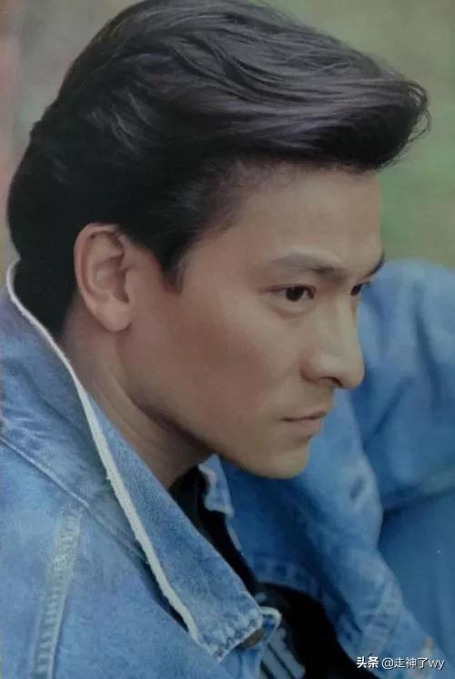 明星的秀之华语娱乐圈天王级偶像刘德华个人资料