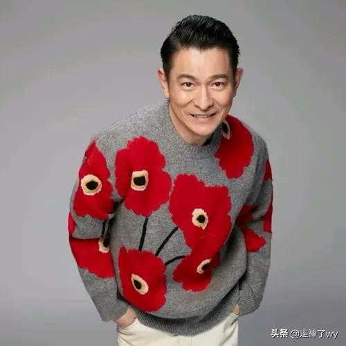 明星的秀之华语娱乐圈天王级偶像刘德华个人资料