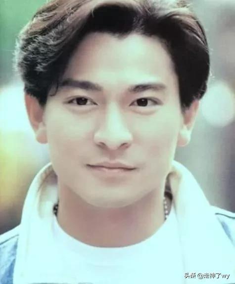 明星的秀之华语娱乐圈天王级偶像刘德华个人资料