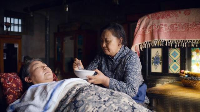 电视剧人世间主演是谁(《人世间》中5位吉林籍主演，他们在剧中的表现怎样？)
