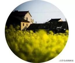 猜想的近义词是什么词？猜想的近义词是什么?-第1张图片-