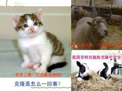 ​浠€涔堝彨鍏嬮殕鎶€鏈?鍏嬮殕鎶€鏈殑鎰忎箟鏄粈涔?锛熶粈涔堝彨鍏嬮殕鍖栧