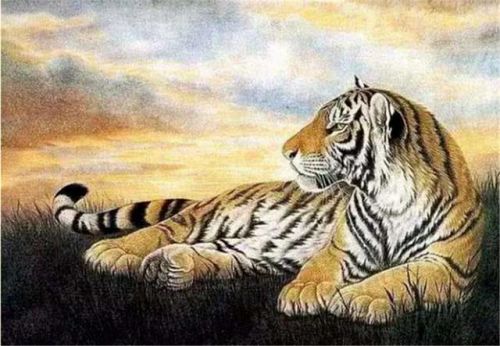 神农架发现凶残不明生物,它长什么样子?(神农架不明生物)-第2张图片-