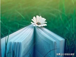 成语郁郁寡欢是什么意思(整天郁郁寡欢是什么意思)-第1张图片-