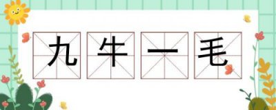 ​九牛一毛是什么意思,代表什么生肖(九牛一毛是什么意思解释)