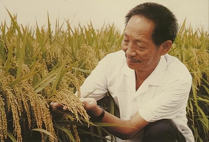 茅以升简介及代表作品（中国近代史上的各种“行业之父”，他们给一个民族的崛起带来曙光）