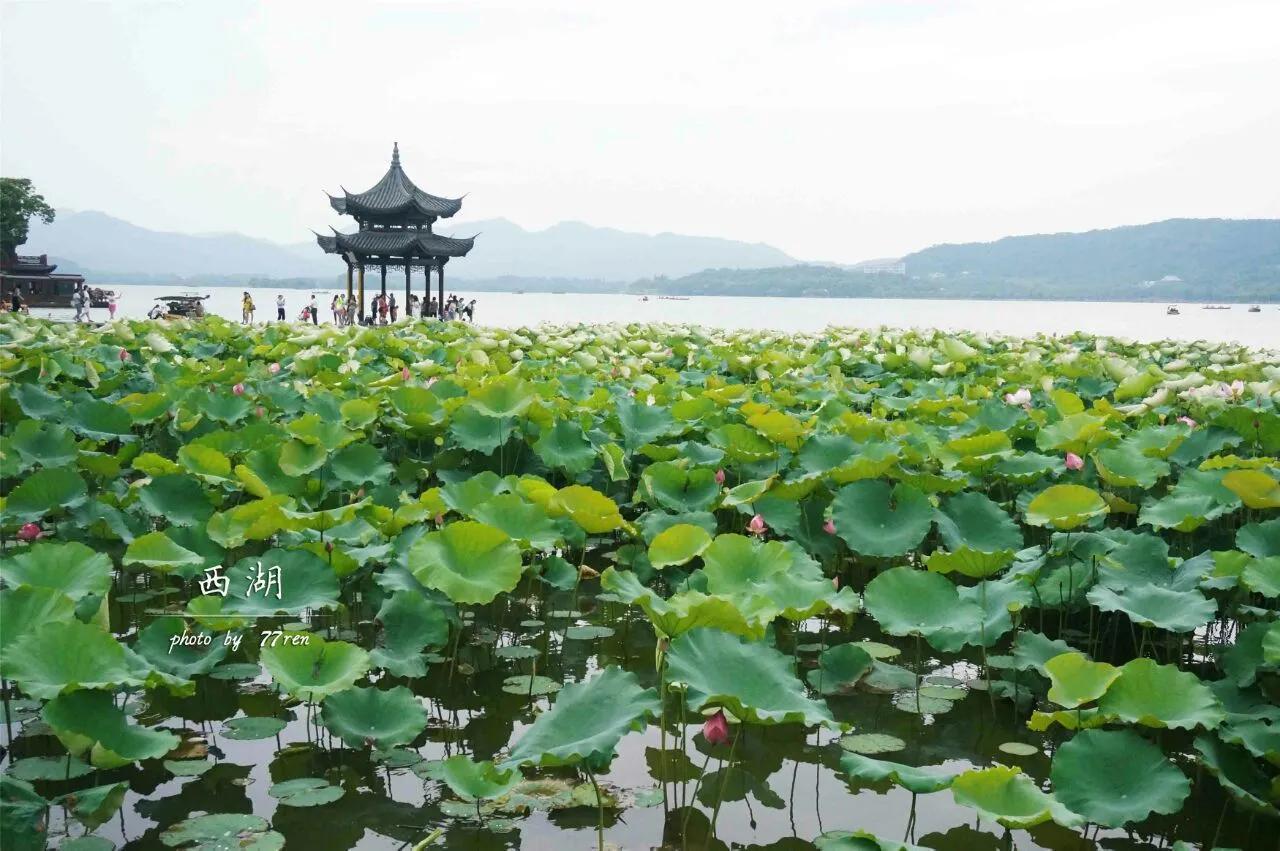 西湖历史简介(西湖的历史背景简介)