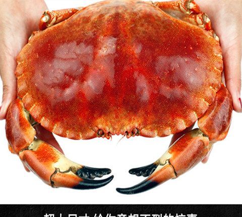 螃蟹蒸熟了能冷冻吗