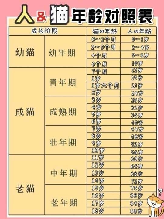 猫粮幼猫什么牌子好（幼猫猫粮哪个牌子比较好）