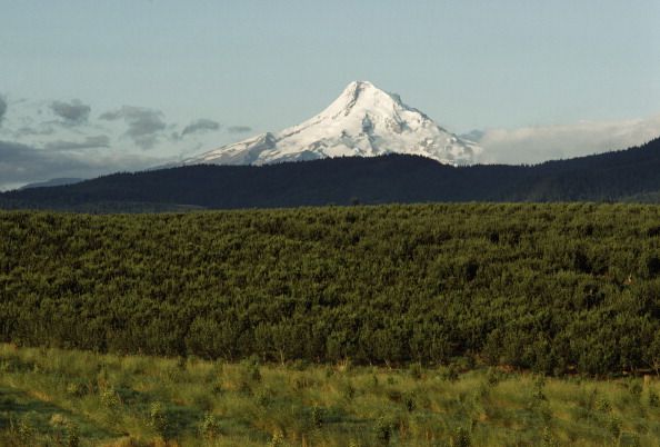 世界上最危险的火山是哪一座(世界上最危险的十座火山)