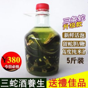 ​蛇胆酒的作用是什么(蛇胆的功能和作用是什么)