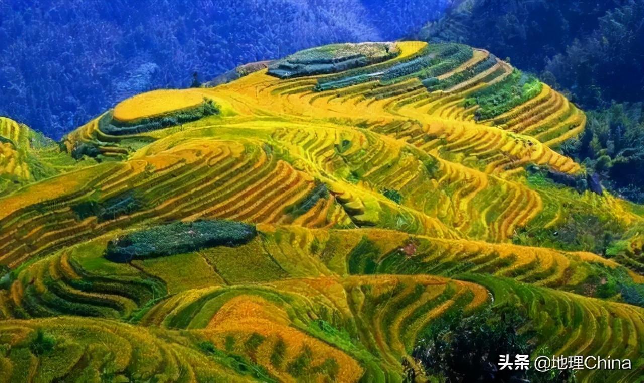 中国有几大高原(中国高原有几个)