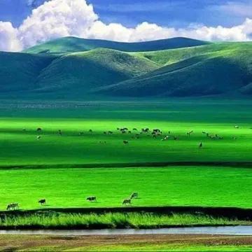 国内最值得去的十大旅游胜地(中国旅游必去十大景点)