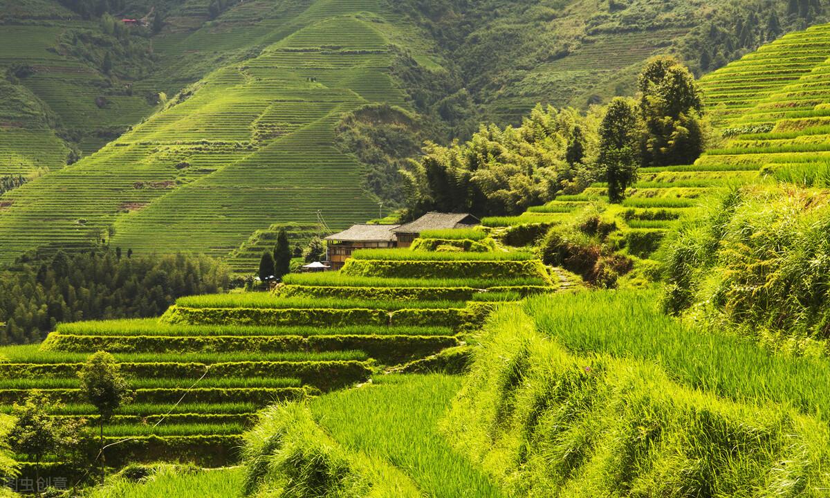 中国三大丘陵(我国最大的丘陵是哪个)