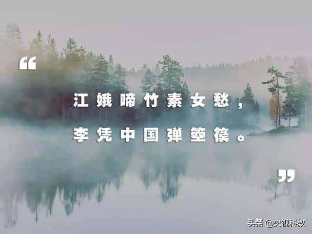 竖琴跟箜篌（箜篌和竖琴的区别）