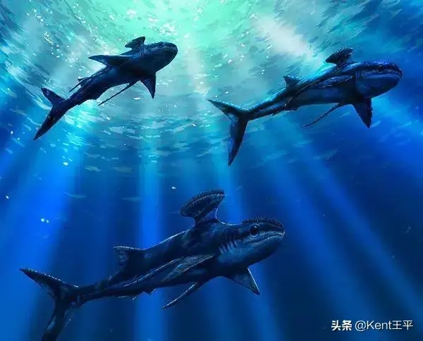 已灭绝的奇特鲨鱼(世界上灭绝的鲨鱼)