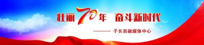​龙应台简介（他用背影默默告诉我，不必追）