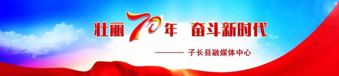 龙应台：他用背影默默告诉我，不必追
