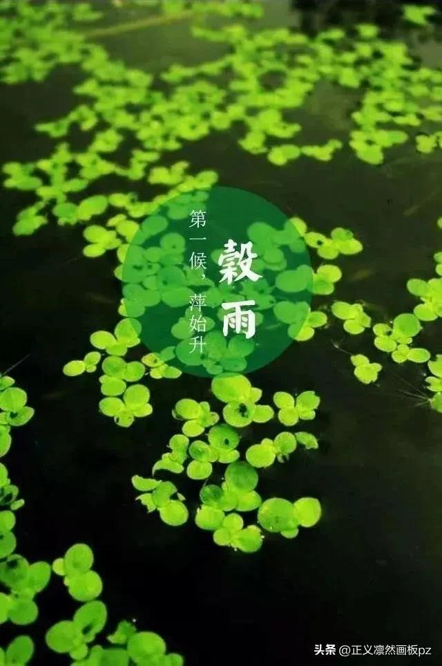 谷雨的由来(谷雨节气的由来和风俗)