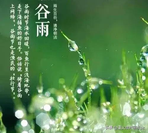 谷雨的由来(谷雨节气的由来和风俗)