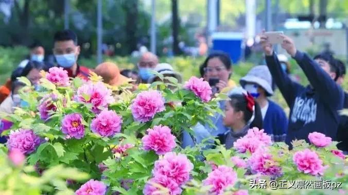谷雨的由来(谷雨节气的由来和风俗)