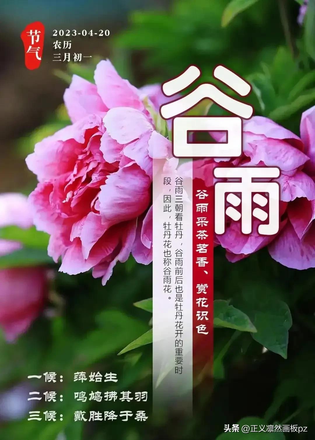 谷雨的由来(谷雨节气的由来和风俗)