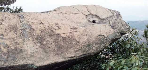 中国有几个灵山(中国一共有几个灵山)
