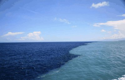 ​最大的海洋是哪一个(世界最大的大洋)