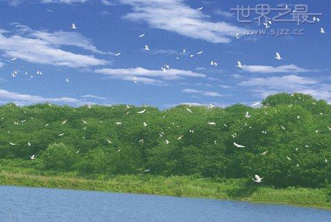 中国五大淡水湖排名(中国淡水湖排名前五)