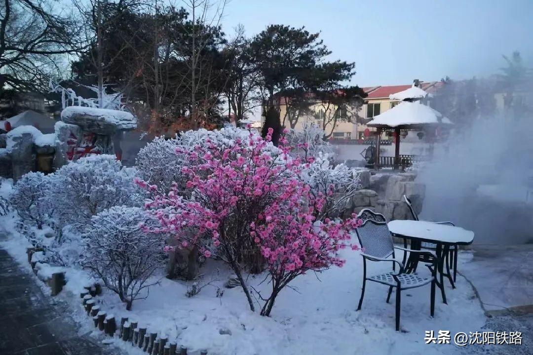 兴城温泉酒店哪家最好(辽宁兴城温泉哪家好还便宜)