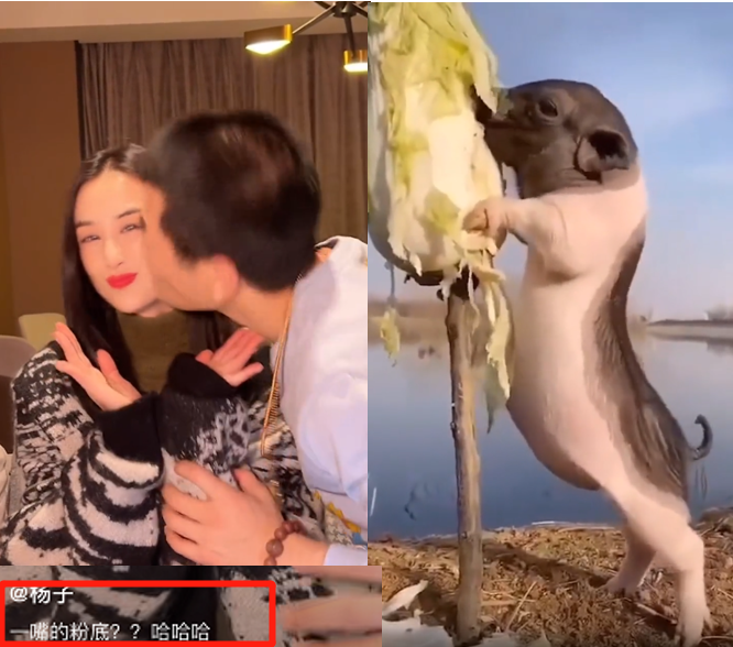 杨子搂黄圣依猛亲秀恩爱！自嘲亲了一嘴粉底，女方劈叉大秀一字马