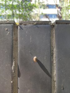 ​刘大白简介（刘大白诗歌《秋晚的江上》解读）