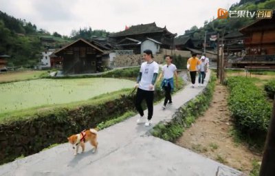 ​彭昱畅被黄磊惹哭，张子枫的举动暴露了二人的关系