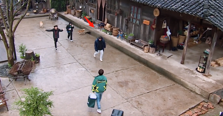 《向往5》预告彭昱畅一个动作暴露地位，同样做事黄磊只夸张艺兴