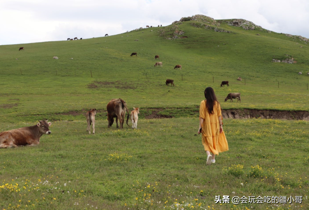 王洛宾：源于200多年前的旋律，在新疆一唱就是百年